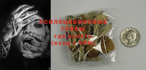 гидра Бронницы