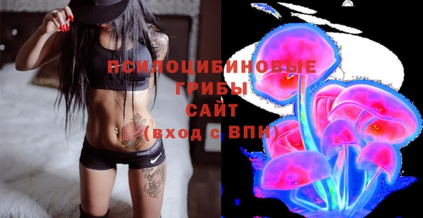 PSILOCYBIN Володарск