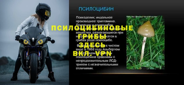 PSILOCYBIN Володарск