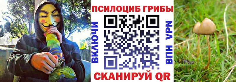 Псилоцибиновые грибы мицелий закладка Инза